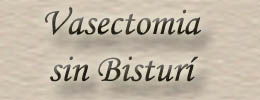 Vasectoma sin bistur