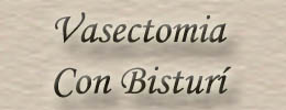 Vasectoma con bistur